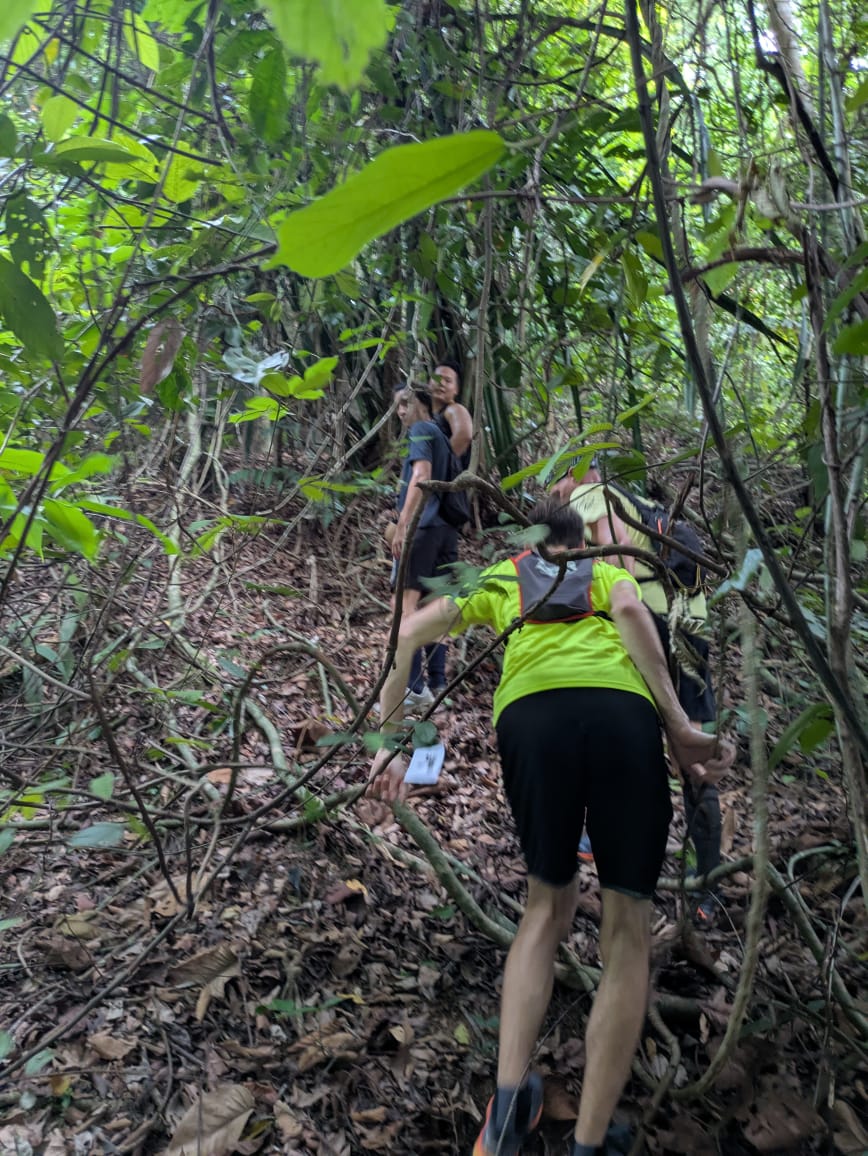 Run image 3
