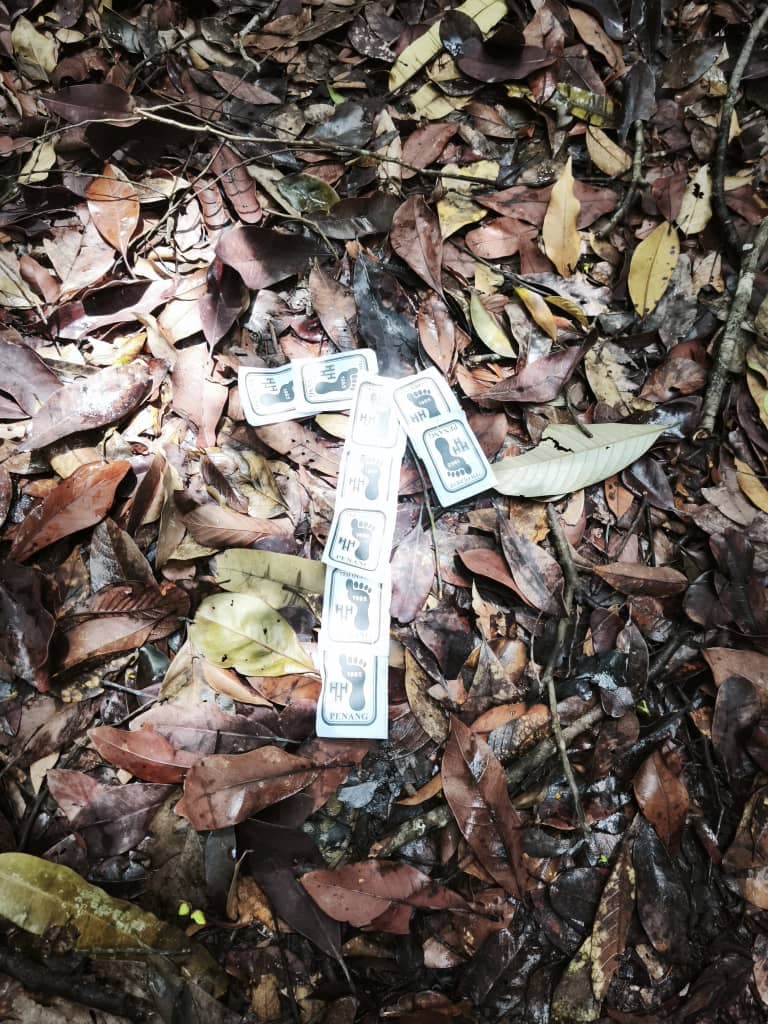 Run image 4