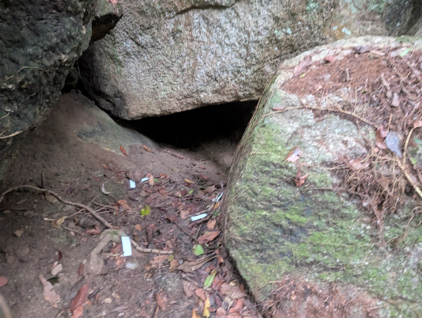 Run image 7