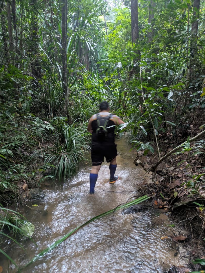 Run image 5