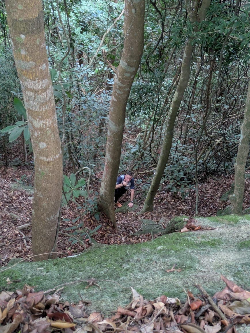 Run image 3