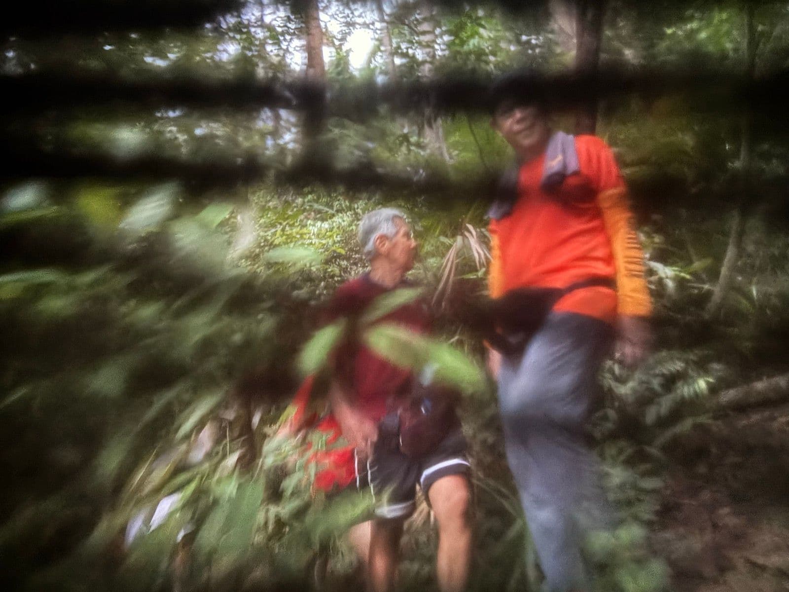 Run image 6