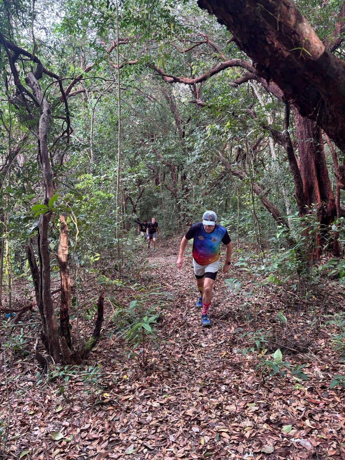 Run image 10