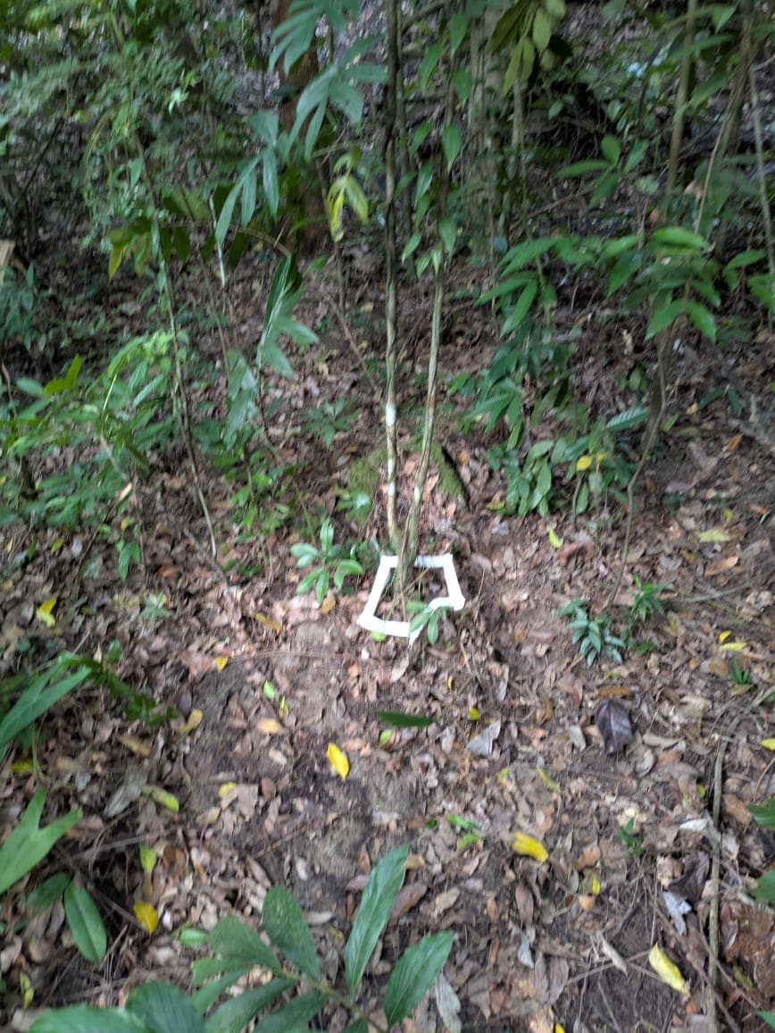 Run image 5